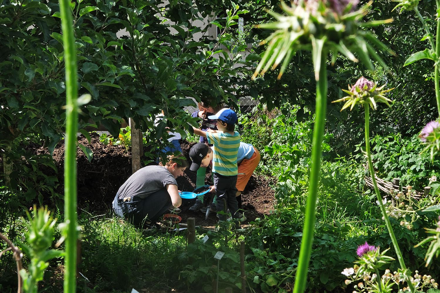 202605-Stiftsgarten-6182